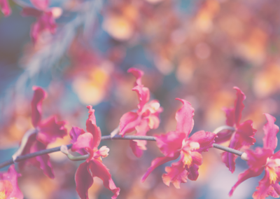 批发代理充值的DDOS在线攻击平台